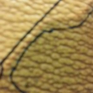 Meet your Posher, Todd